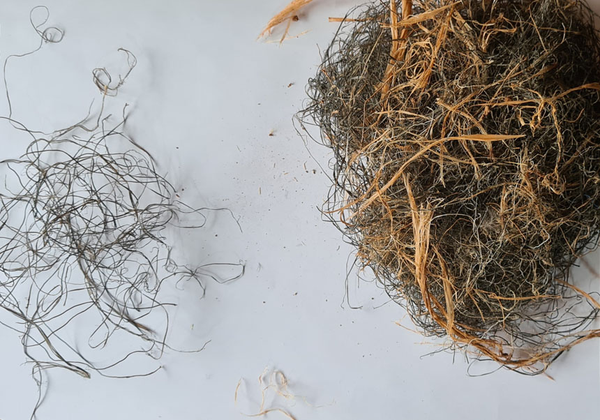 Fragmentos de plásticos procedentes de nidos de urraca y a la derecha estos mezclados con elementos naturales. 